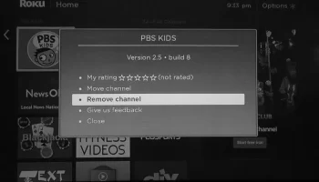 How to Delete Apps on Roku photo 3