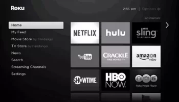 How to Delete Apps on Roku photo 3