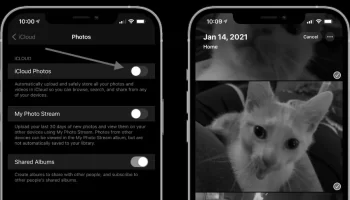 How to select all photos on iphone and delete them? photo 3
